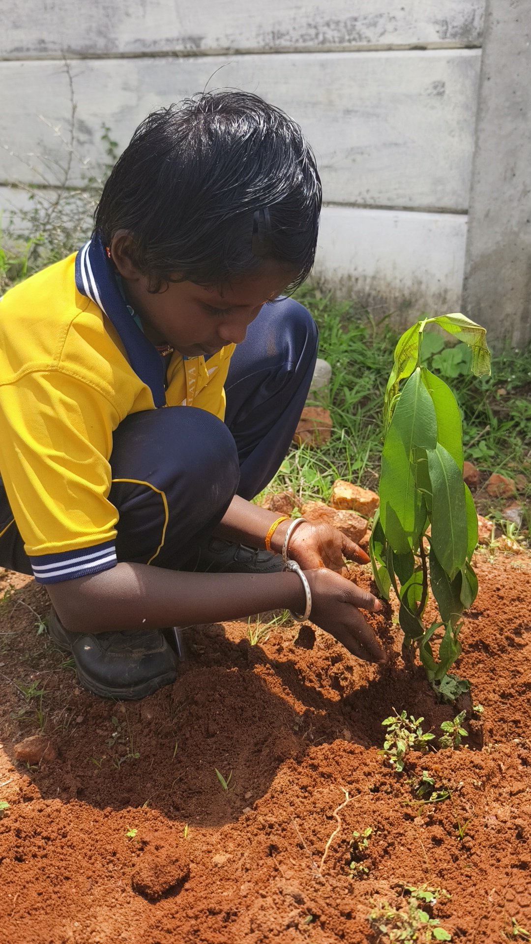 World Environment Day
